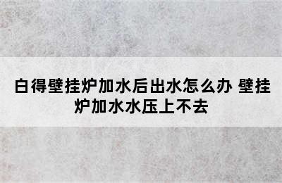 白得壁挂炉加水后出水怎么办 壁挂炉加水水压上不去